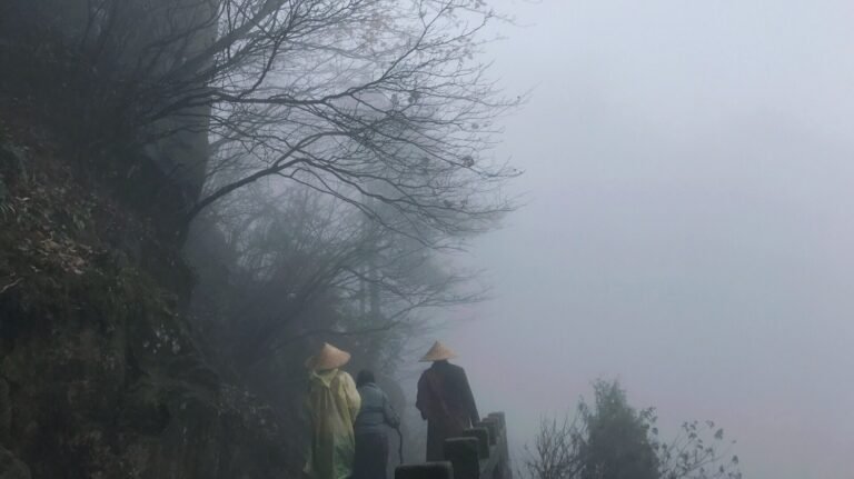 九华山朝圣 2018